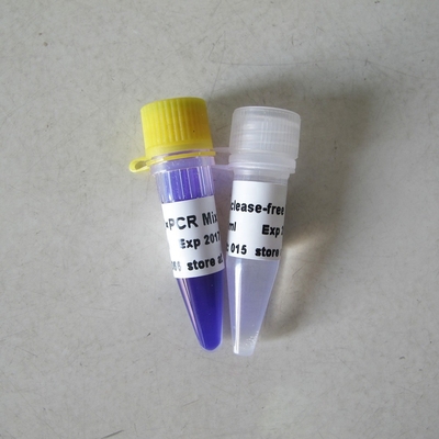250U PCR 마스터 믹스 옵티머스 핫스타트 타크 dna 폴리머라제 PCR 시약 높은 전문성 P1041