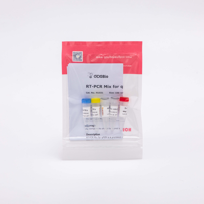 그드스비오 역전사 효소 PCR 시약